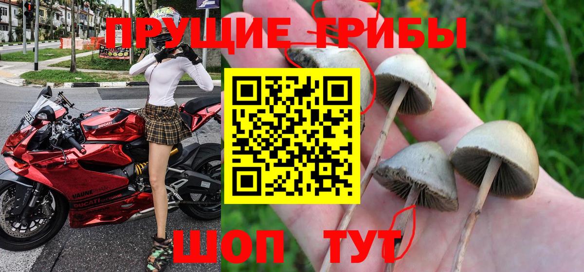 Галлюциногенные грибы GOLDEN TEACHER Канск