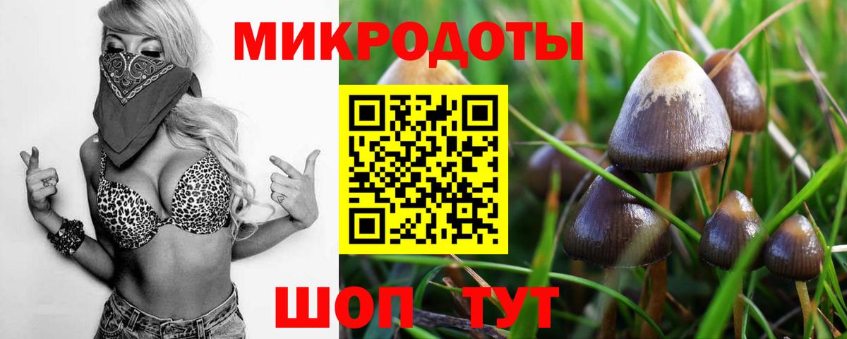 Галлюциногенные грибы GOLDEN TEACHER  Вход с VPN  Канск 